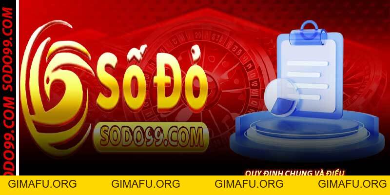 Điều Khoản Sodo99 – Quy Định Chung Thành Viên Cần Nắm Rõ
