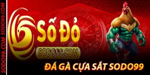 Sodo99 - Trang Chủ Chính Thức Sodo99.com [ Code 179K ]