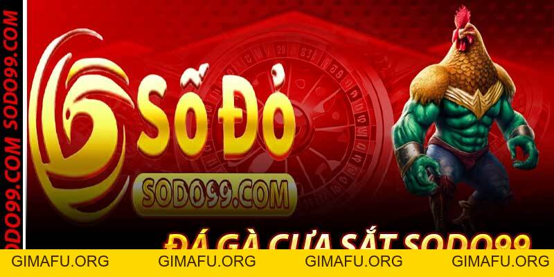 Đá Gà Cựa Sắt Sodo99 – Trường Gà Cựa Sắt Đỉnh Cao Của 2026