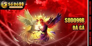 Sodo99 - Trang Chủ Chính Thức Sodo99.com [ Code 179K ]