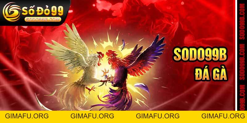 Đá Gà Sodo99 – Trường Gà Trực Tuyến, Phát 4K Không Giật