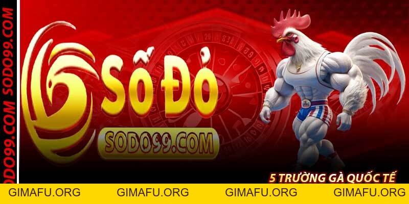 Đá Gà Sodo99 – Trường Gà Trực Tuyến, Phát 4K Không Giật